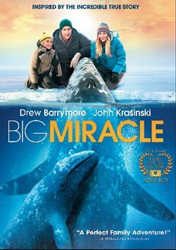 Büyük Mucize - Big Miracle